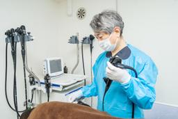 クリニックの画像