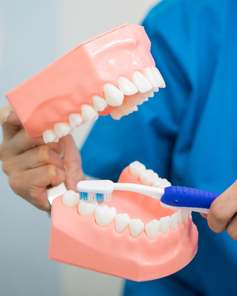 歯並びの悪さは、むし歯や歯周病、深刻な病気を引き起こすリスクに