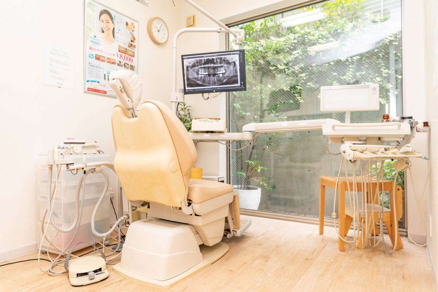 さくら歯科医院photo