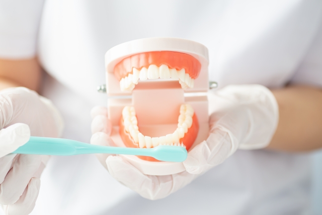歯周病予防のためのブラッシングのコツ、おすすめの歯磨き剤を歯科医師が伝授
