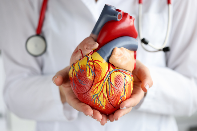 国内初 新承認の小型補助人工心臓つなぐ手術を実施