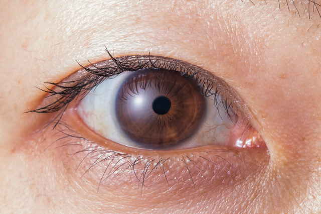 加齢黄斑変性とはどんな目の病気？