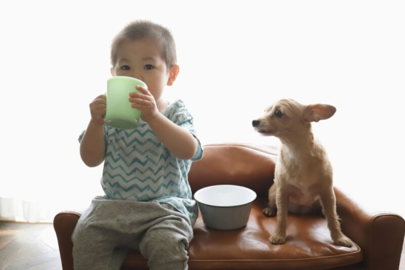 ミルクを飲む子供