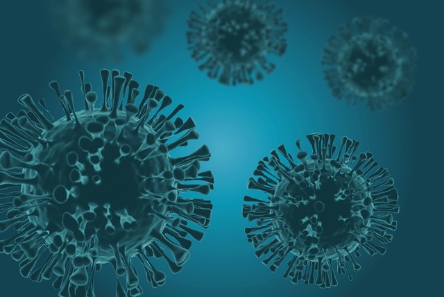 3種類の抗ウイルス薬がBQ.1.1系統とXBB系統の増殖を抑制
