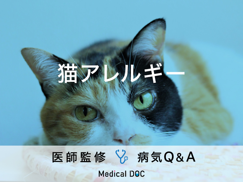 「猫アレルギー」の症状・飼っていて発症した場合の対処法はご存知ですか？
