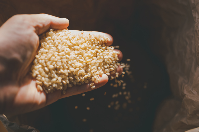 玄米の健康効果を管理栄養士が解説 おすすめの食べ方は？