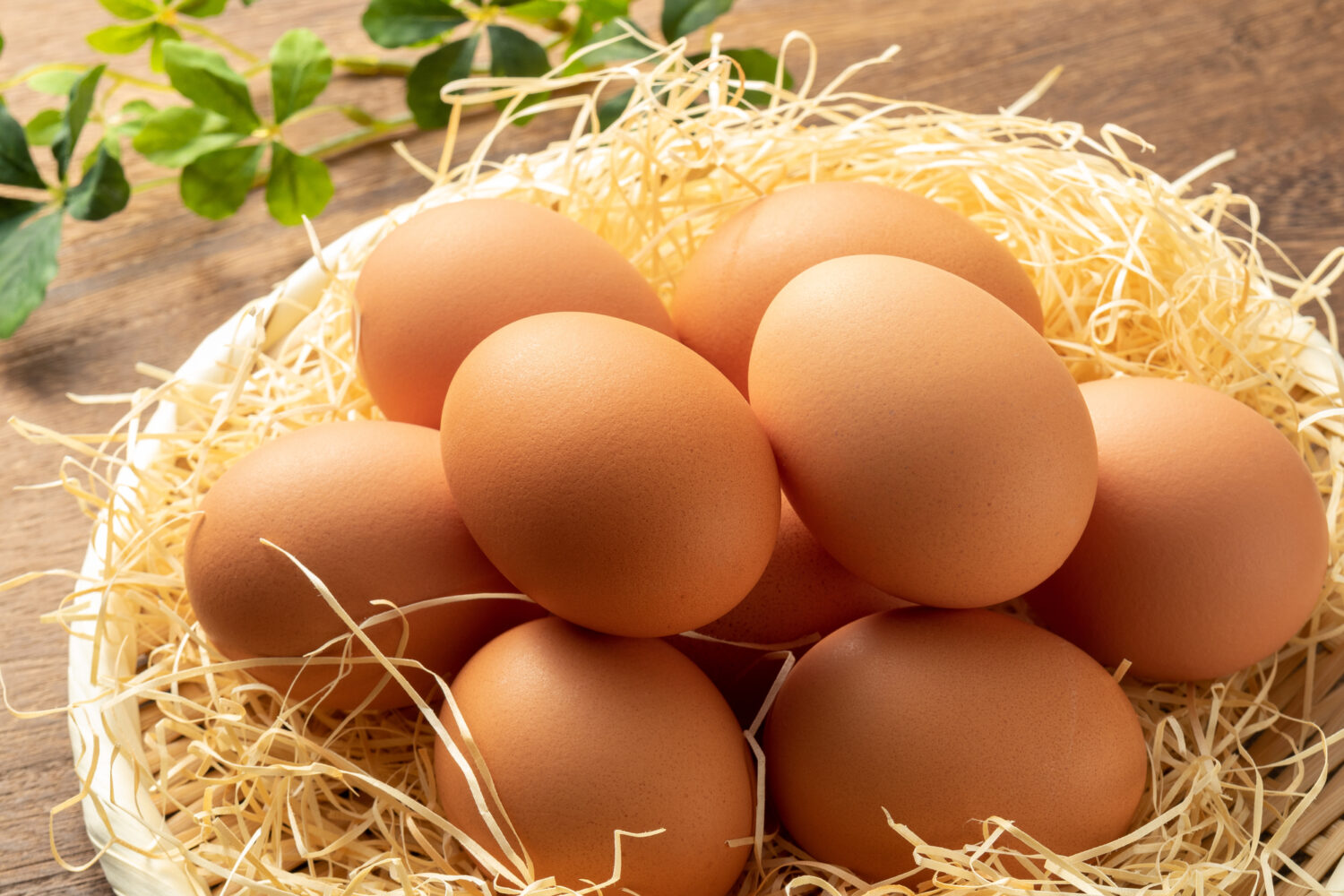 卵が“完全栄養食“と言われる所以を管理栄養士が解説 どのような栄養成分・健康効果があるのか