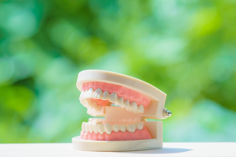 歯周病の症状の一つ、「骨吸収」とは？