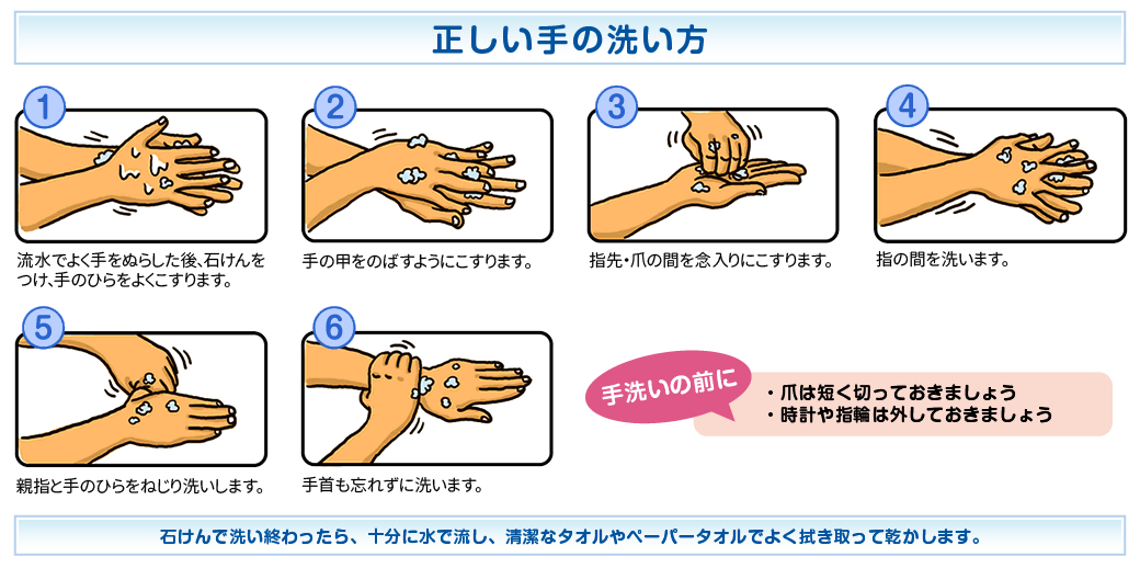 正しい手の洗い方（政府広報オンライン）
